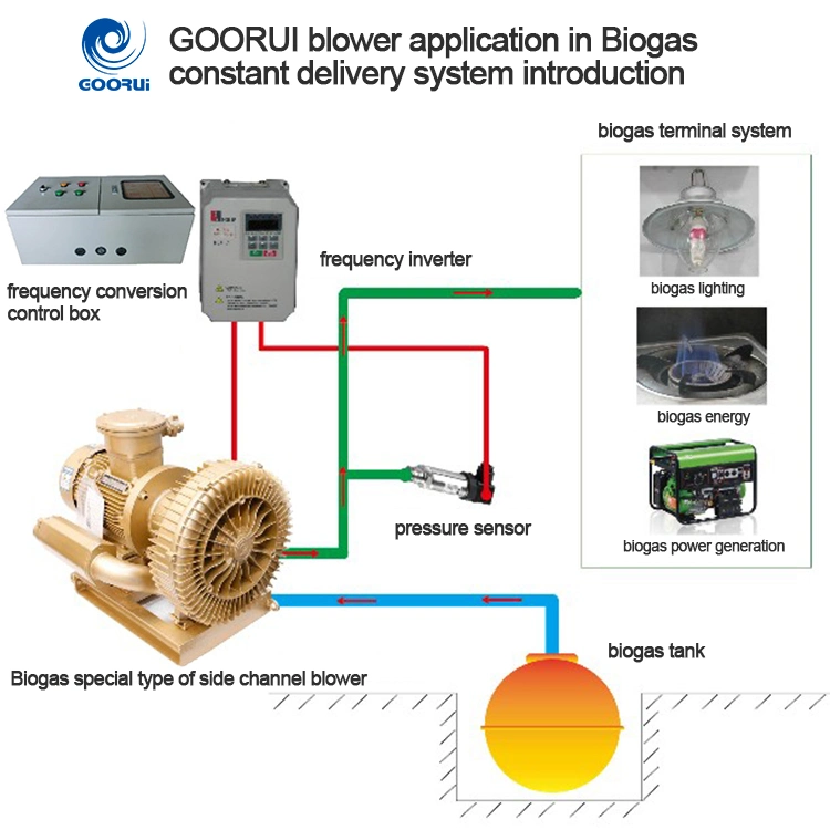 Customized Atex Anti-Explosion Explosion-Proof High Pressure Side Channel Blowers and Vacuum Pumps with Frequency Conversion for Biogas Transfer