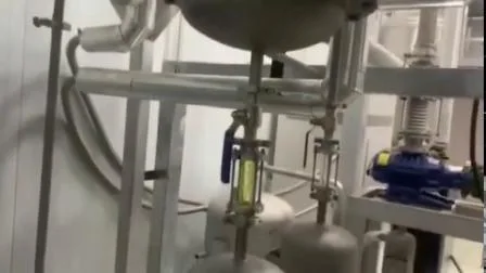 Distillatore industriale a percorso breve fornito dalla fabbrica con film pulito ed estrazione essenziale