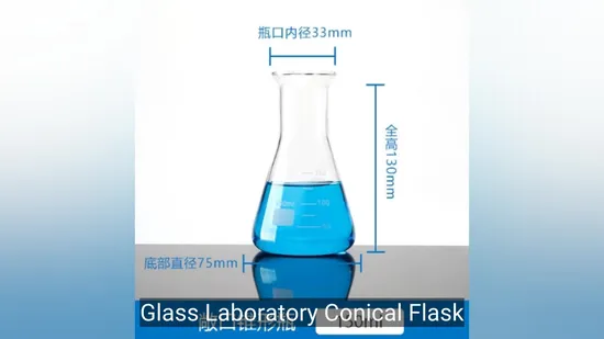 Reattore in vetro rivestito Biobase Reattore in vetro rivestito con capacità di pallone di reazione da 3 litri per laboratorio