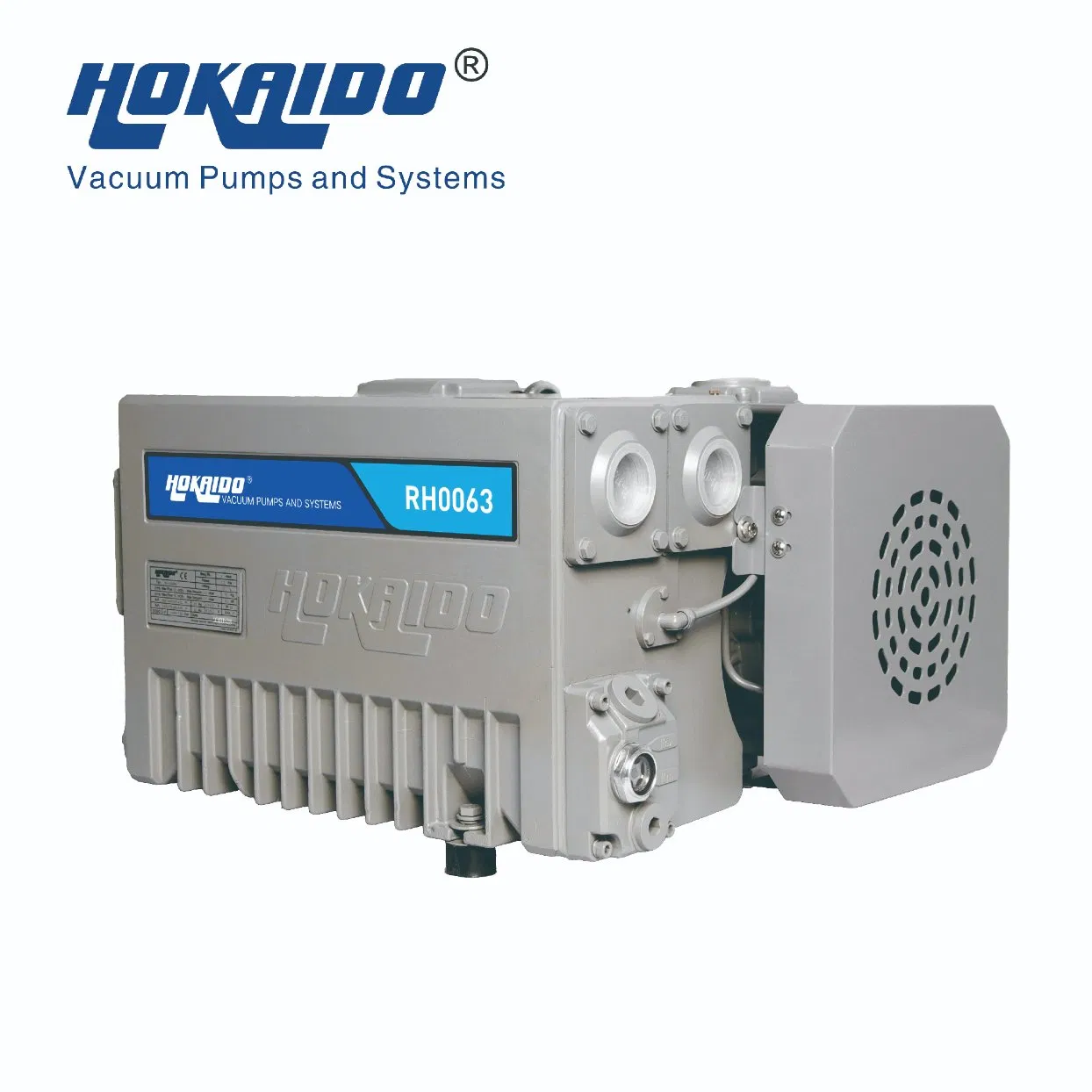 Rh0020/63/100/160/200/250/300 Pompa per vuoto rotativa a palette monostadio per confezionamento sottovuoto