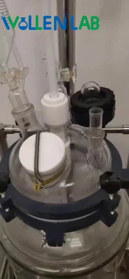 Reattore in vetro con bollitore per reazione fotochimica Gr-5 da 5 litri proveniente dalla Cina