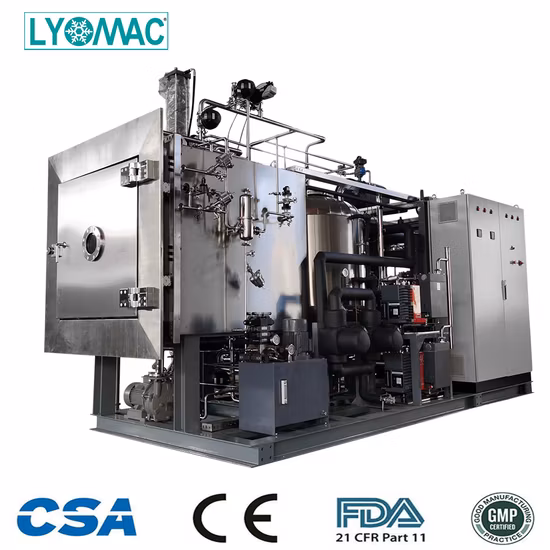 Liofilizzatori liofilizzatori Lyopro-10 conformi a GMP/FDA