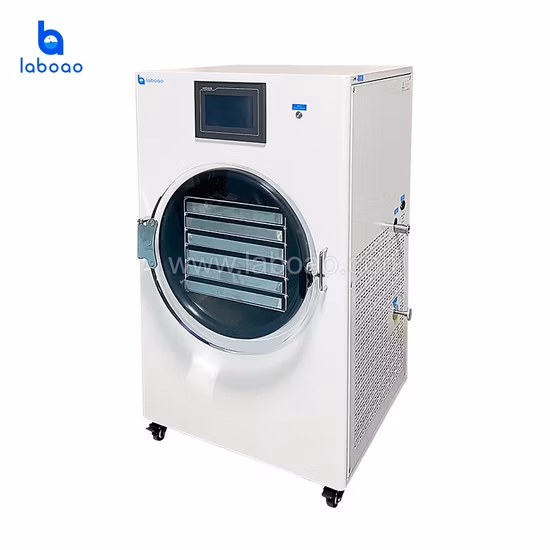 Attrezzatura per liofilizzatore sottovuoto per alimenti domestici Laboao Mini Small