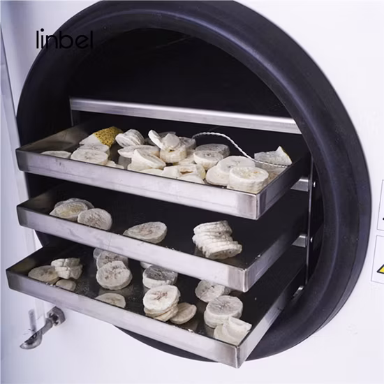 Liofilizzazione domestica, Liofilizzatore per alimenti fatto in casa, Liofilizzatore con pompa a vuoto per uso domestico
