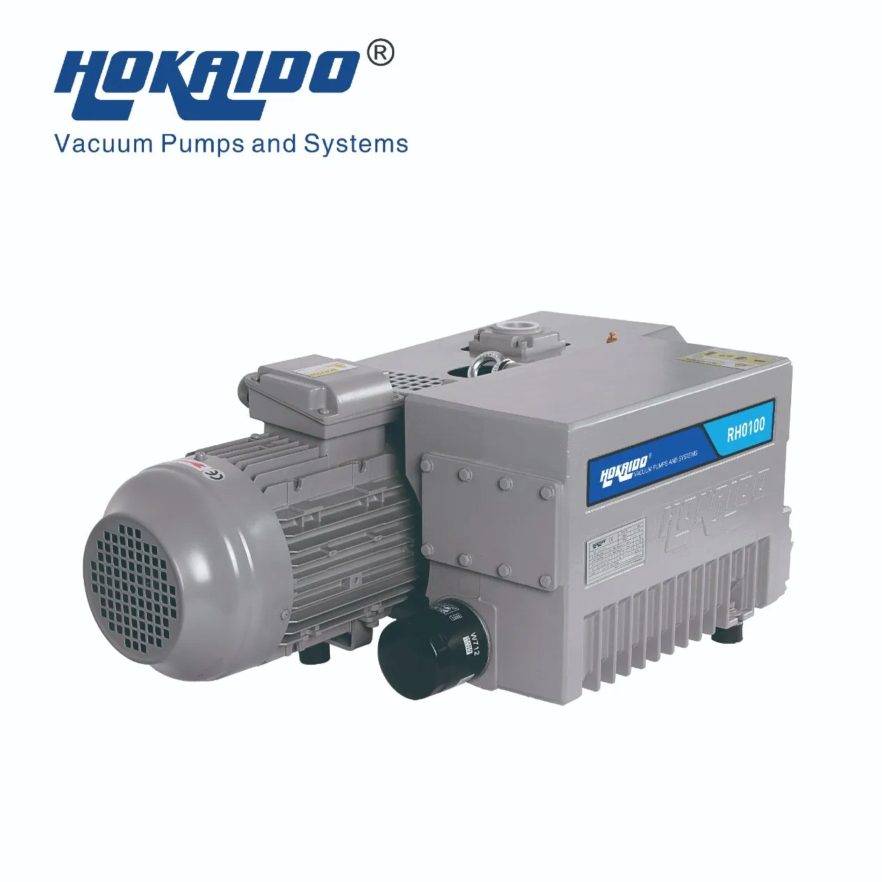Pompa per vuoto rotativa a palette monostadio elettrica di alta qualità con tenuta a olio