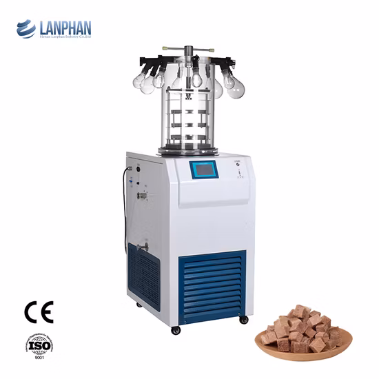 Mini liofilizzatore per piccole case/laboratori da 2,5 litri